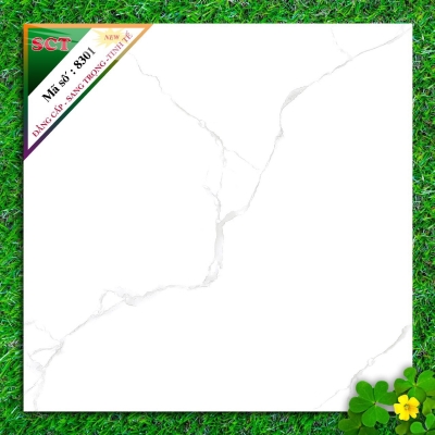 Gạch World Tiles SCT 8301